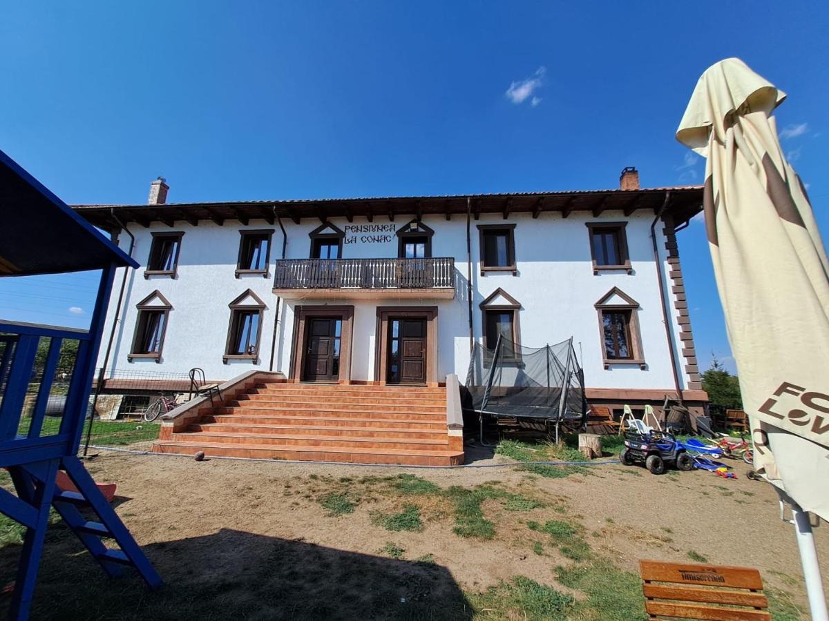 Pensiunea La Conac Bîrlad Extérieur photo
